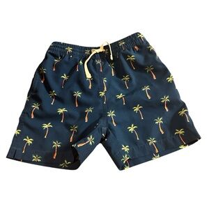 Chubbies palm trees swim trunks
